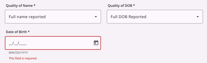 A required field highlighted red with a warning message