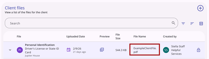 Client Files_File Name Example