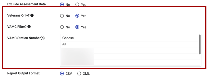 Example showing new Veterans related parameters for HUDX-111 Report
