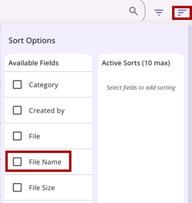File Name_Sorting Options