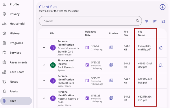 Files_File Name Column