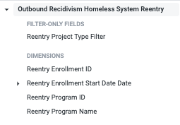 Homeless System Reentry Fields