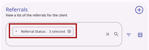 Multi-select Filter Option Display on Chip