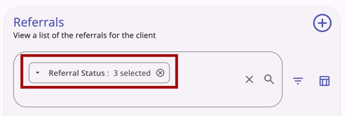 Multi-select Filter Option Display on Chip