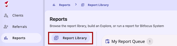 Report Library item