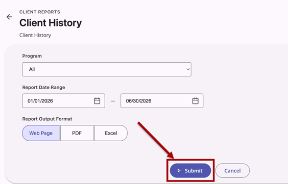 Report form showing parameters entered and Submit button active