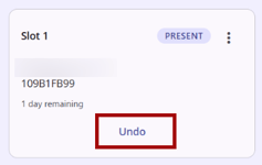 Reserved Slot showing Undo button