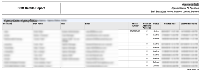 STFF-107 Report showing example of output table organization