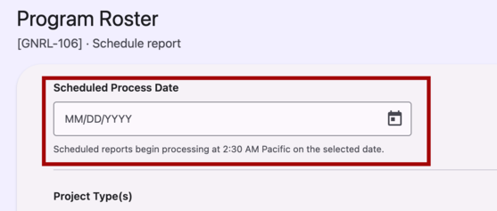 The scheduled process date field at the top of a parameters form